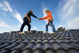 Best Roof Maintenance and Cleaning  in Spring Grove, MN